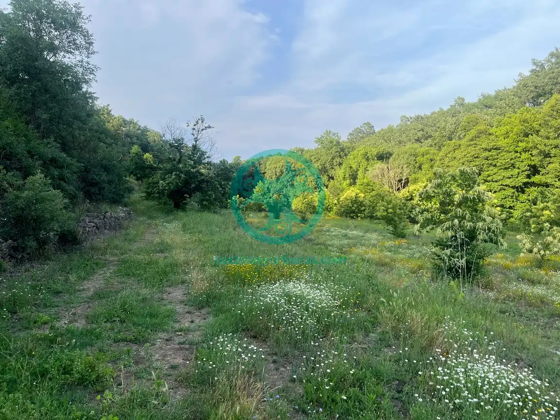 Terreni e lotti in vendita a Garganta la Olla, imagen 20