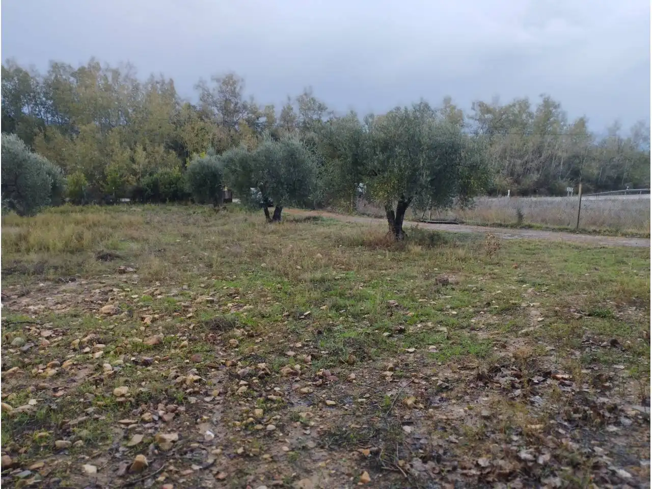 Terrenos y solares en venta en Badajoz, imagen 15