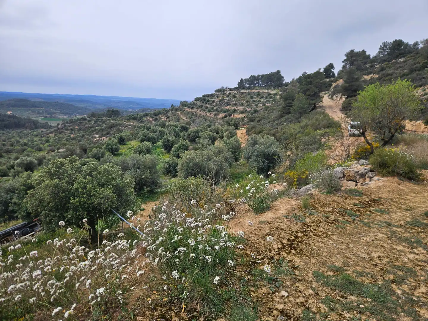 Rural land for sale in Cervià de Les Garrigues, imagen 12