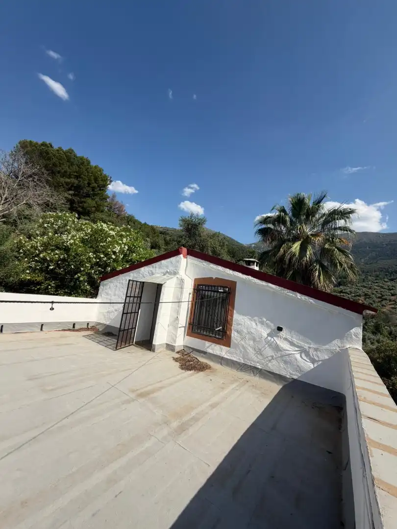 Vista exterior de Finca rústica en venta en Los Villares con Terraza, Trastero y Piscina