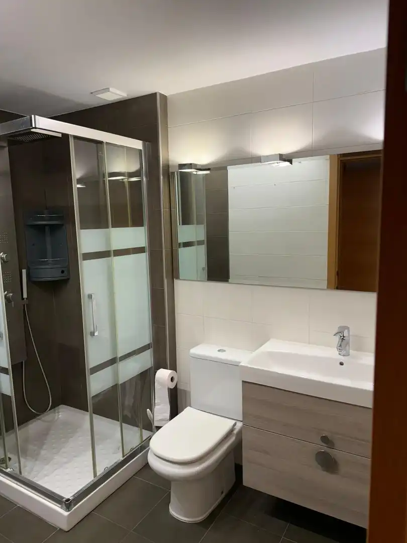 Duplex with terrace to rent in Calle RIO ZUMETA 19, imagen 38