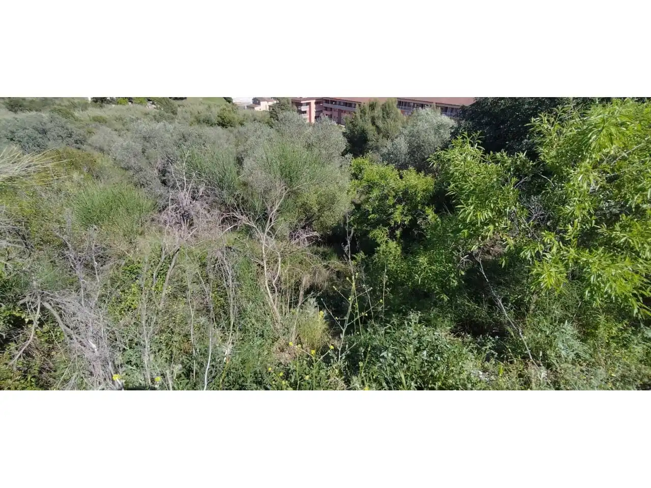 Terreno residencial en venta en Sant Vicenç Dels Horts, imagen 9
