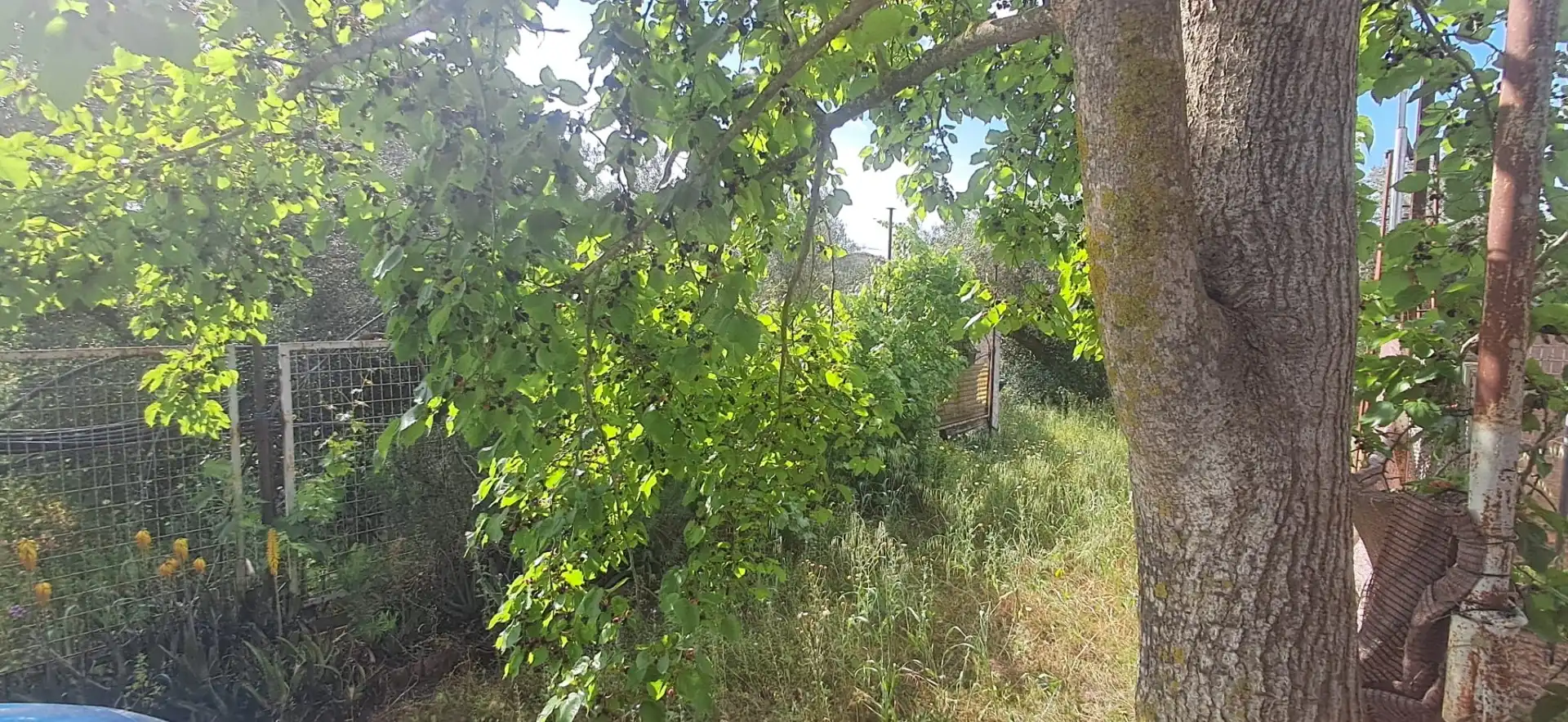 Casa o chalet en venta en Utrera