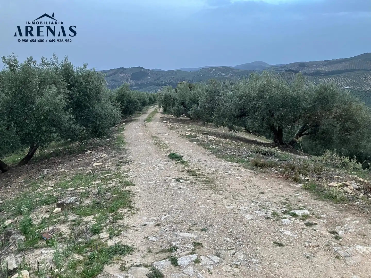 Rustikales Grundstück zum Verkauf in Carretera Montefrío, imagen 5