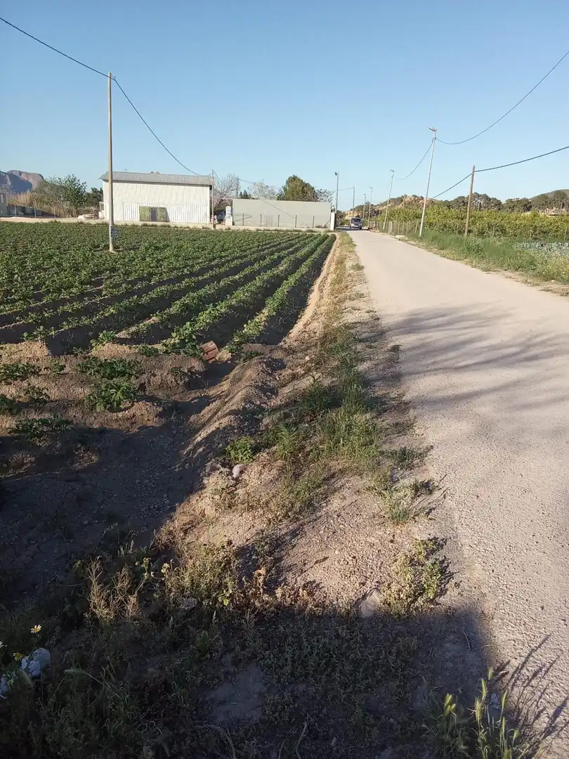 Casa rústica en venda a Desamparados - Hurchillo - Torremendo, imagen 8