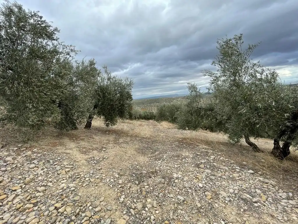 Land for sale in San Ildefonso - Catedral