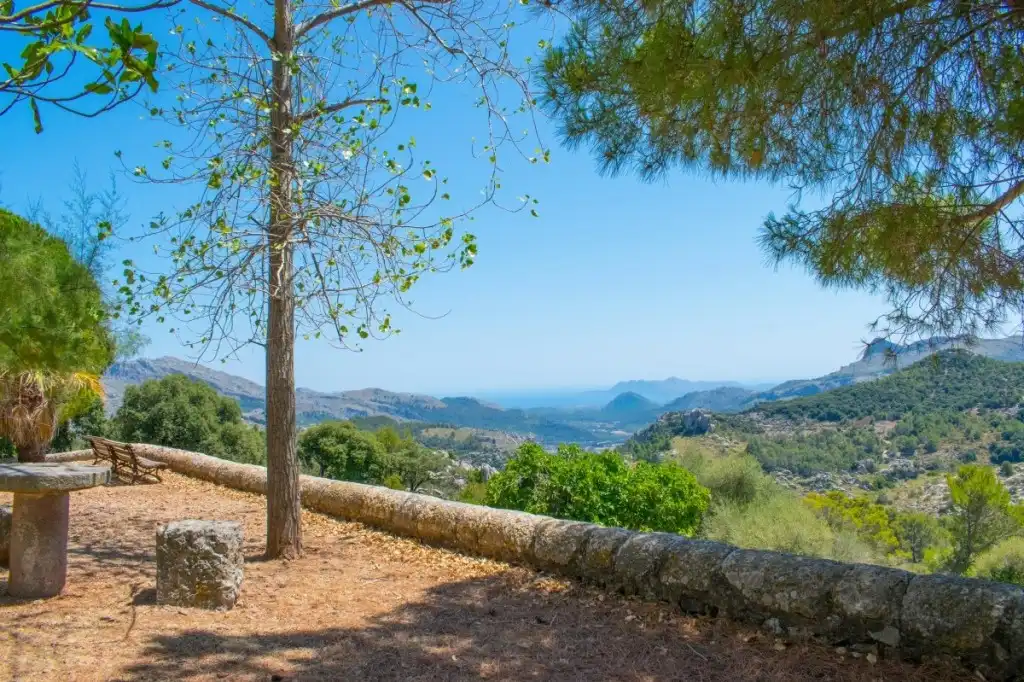 Casa rústica con jardín en venta en Escorca, imagen 15