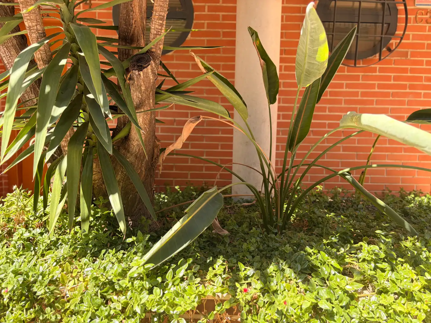 Jardí de Casa adosada en venda en Murcia amb Aire condicionat, Terrassa i Traster
