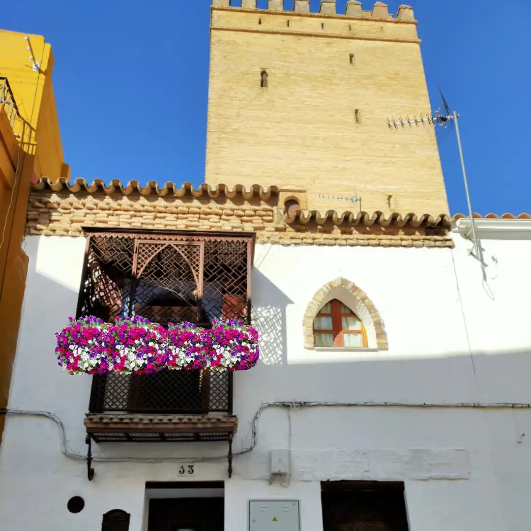 House with terrace for sale in Calle Torre 13, imagen 2