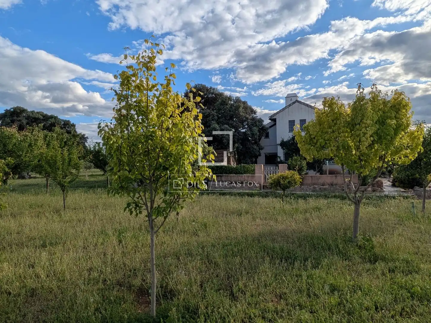 Finca rústica en venda en Malpica de Tajo amb Aire condicionat, Traster i Piscina