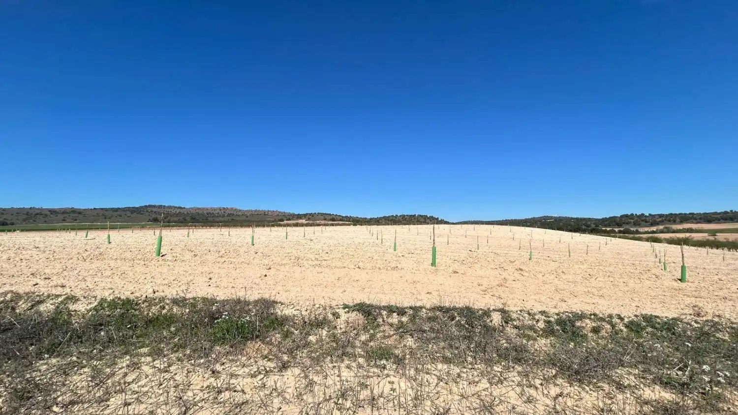 Finca rústica en venda en Tobarra
