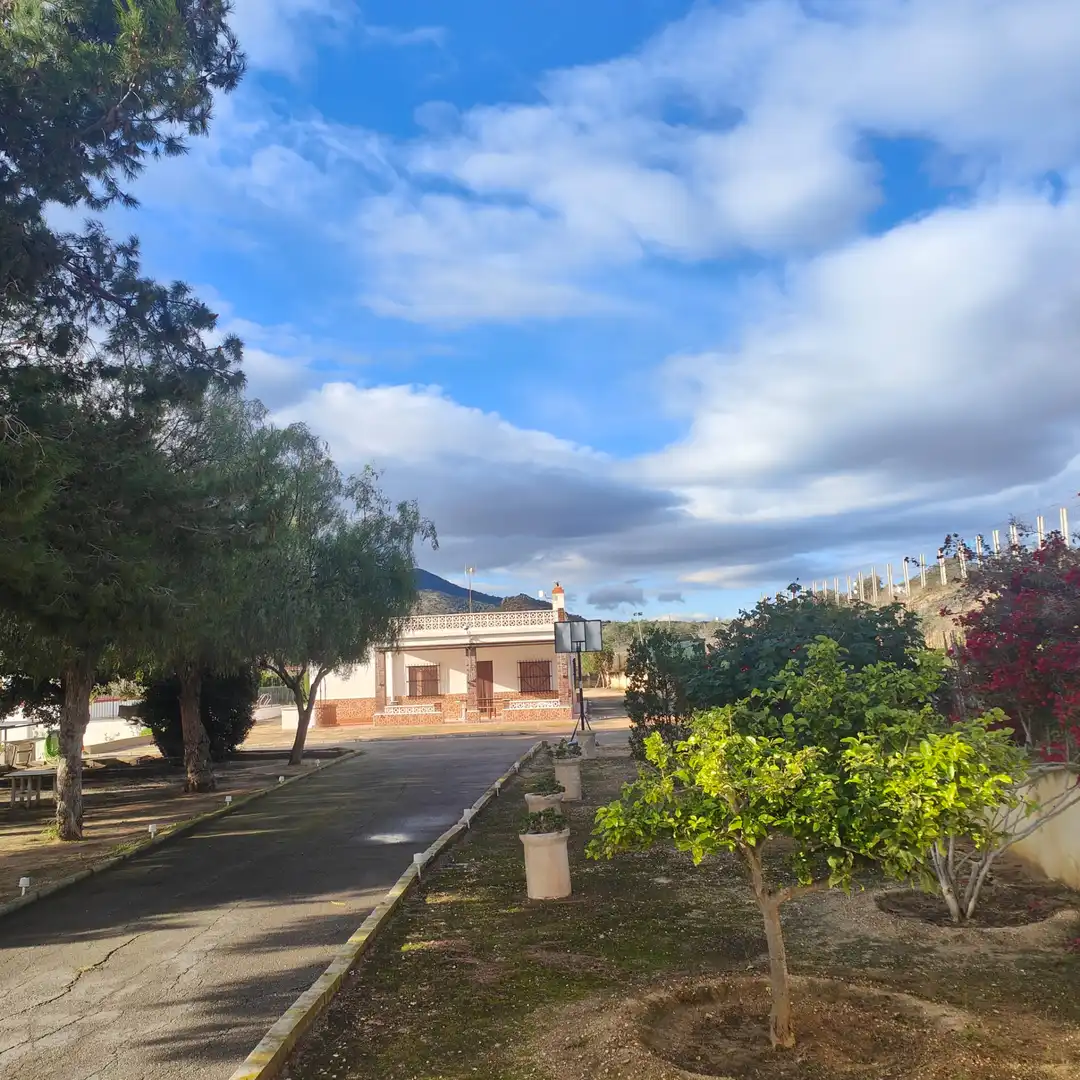 Exterior view of Houses for sale in Aspe  with Private garden, Terrace and Swimming Pool