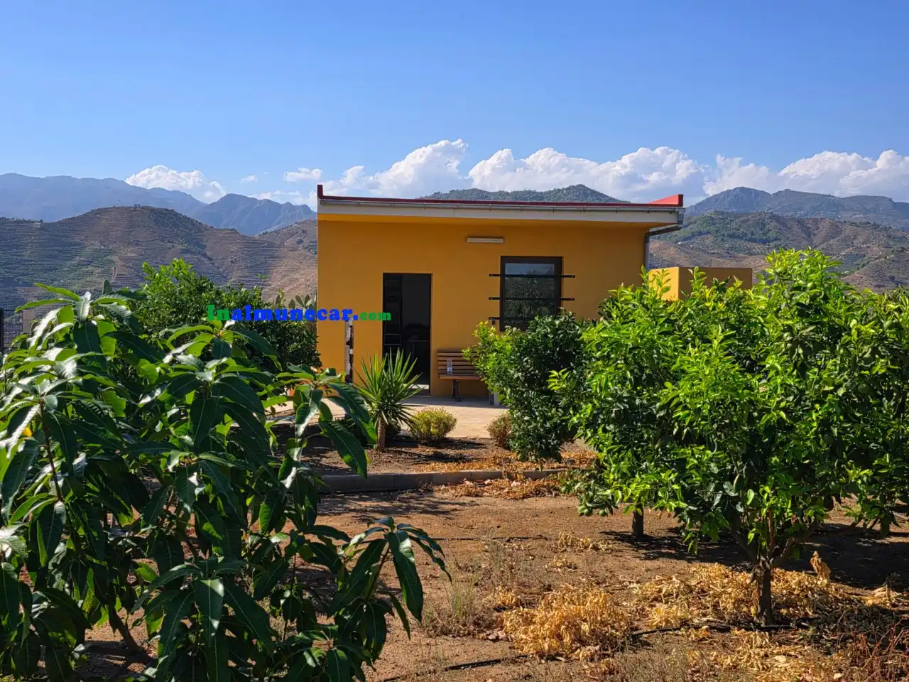 Terrenos y solares en venta en N/A, imagen 22