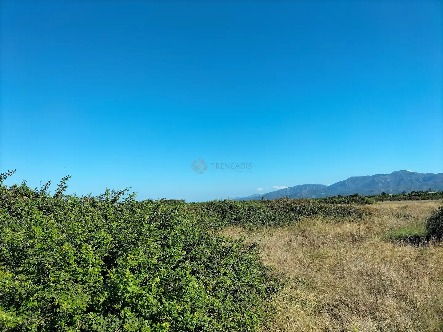 Lands and plots for sale in pol  parcela, imagen 3