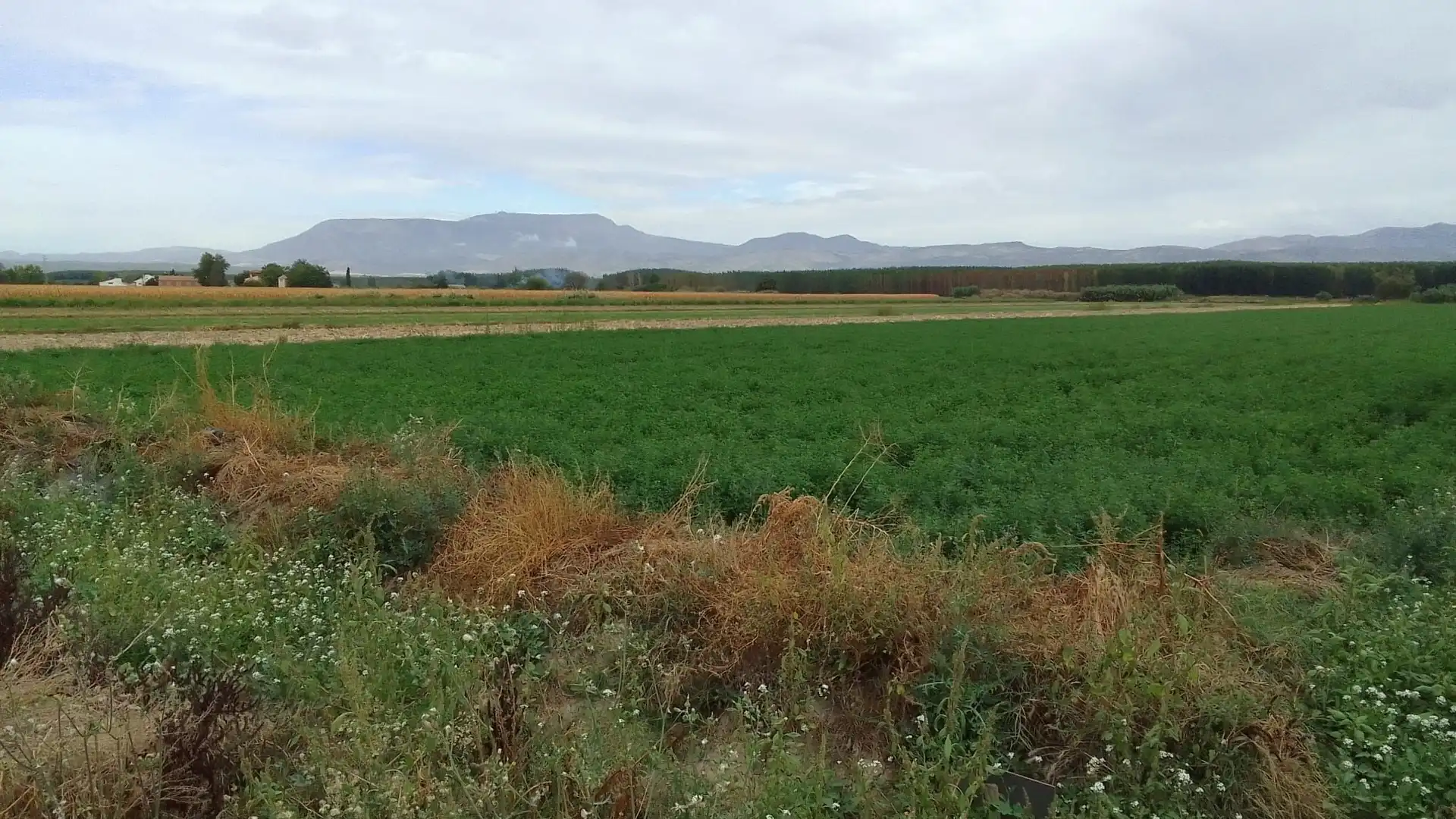 Terreno en venta en Chauchina