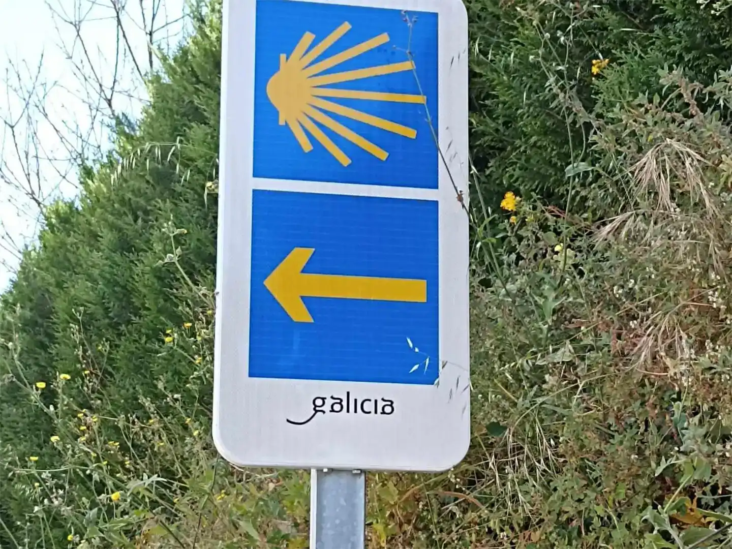 Vista exterior de Casa o xalet en venda en Soutomaior amb Balcó