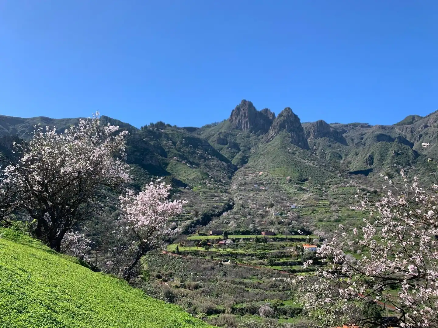 Außenansicht von Haus oder Chalet zum Verkauf in Valsequillo de Gran Canaria mit Klimaanlage, Heizung und Privatgarten