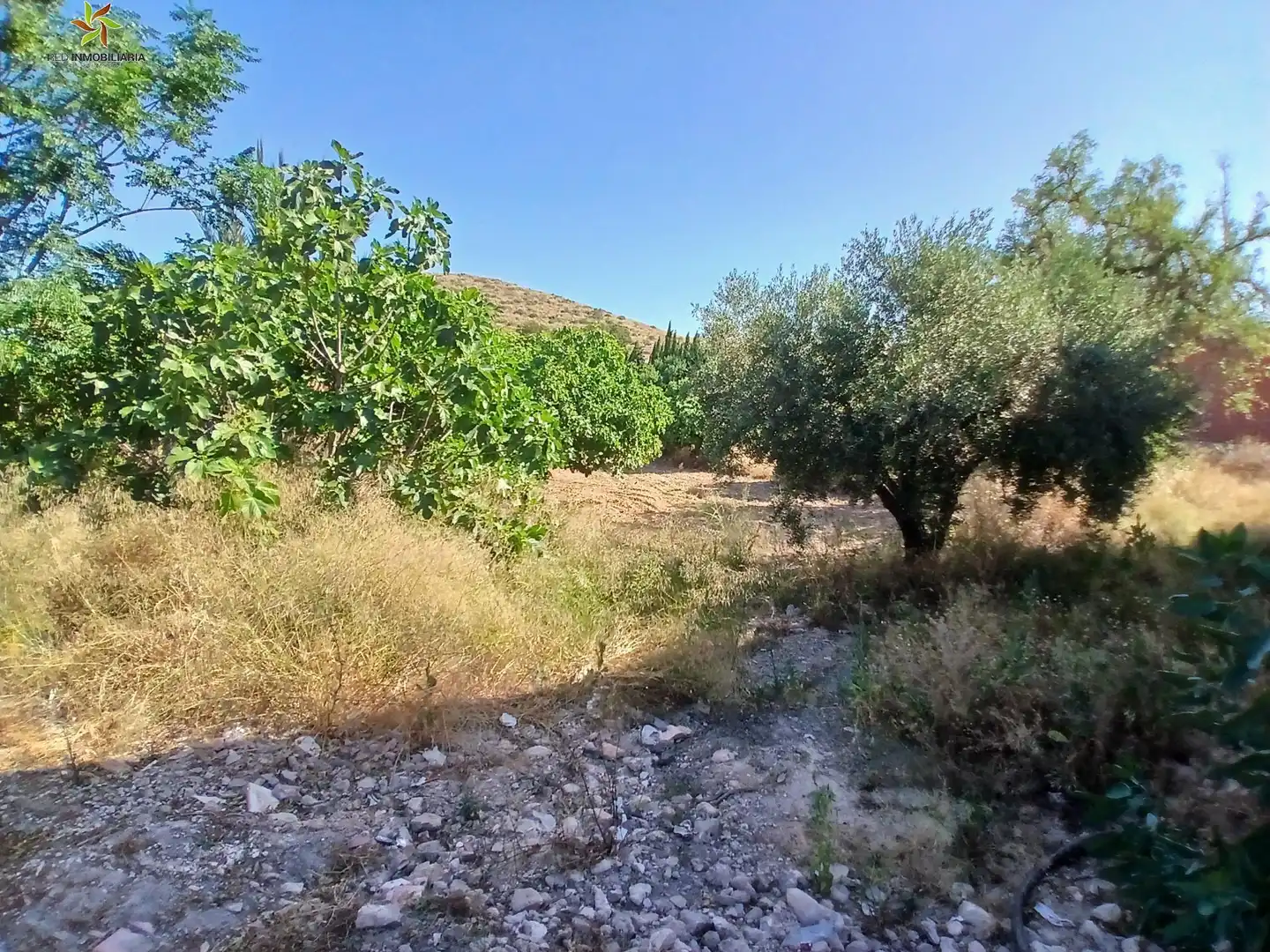 Casa amb jardí en venda a Algueña, imagen 41