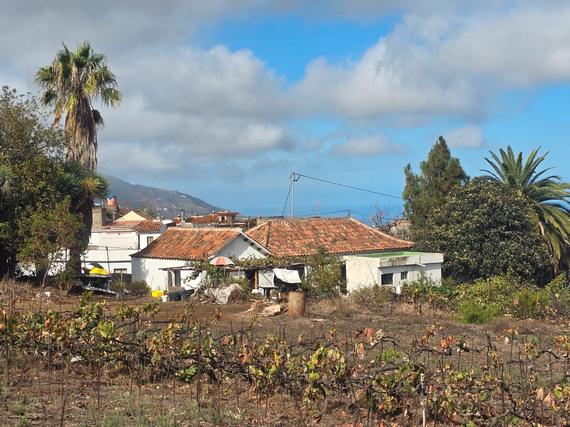 Exterior view of Land for sale in La Orotava