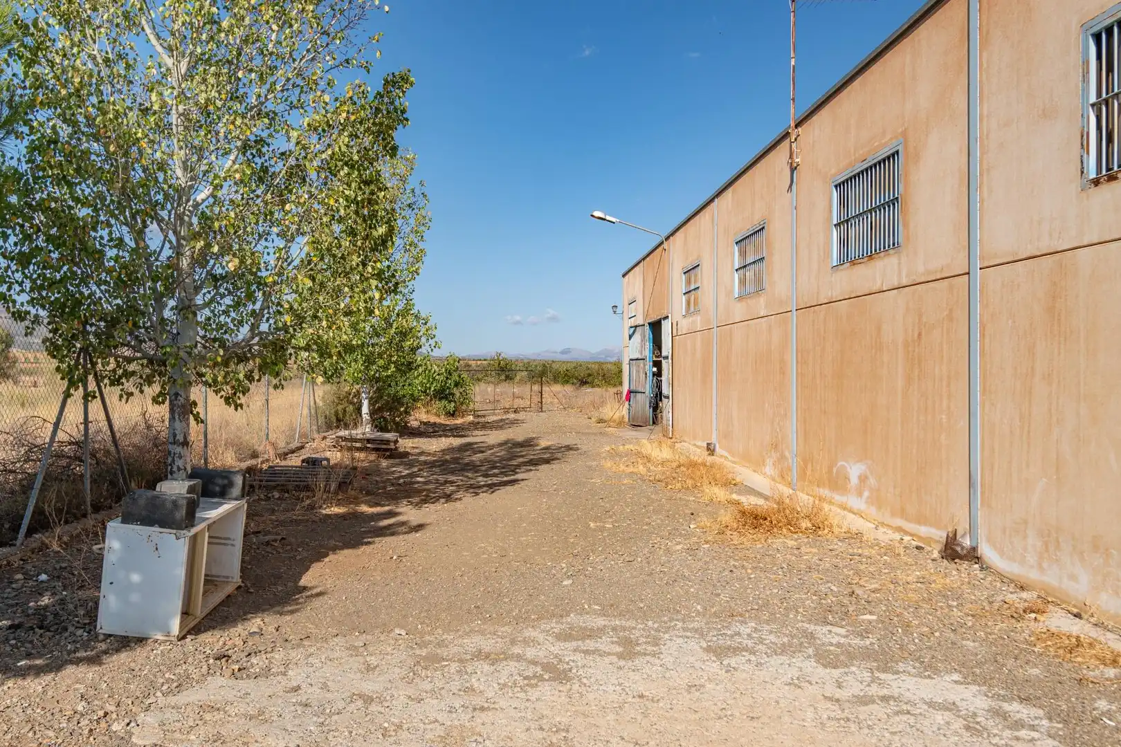 Vista exterior de Nave industrial en venta en Cogollos de Guadix