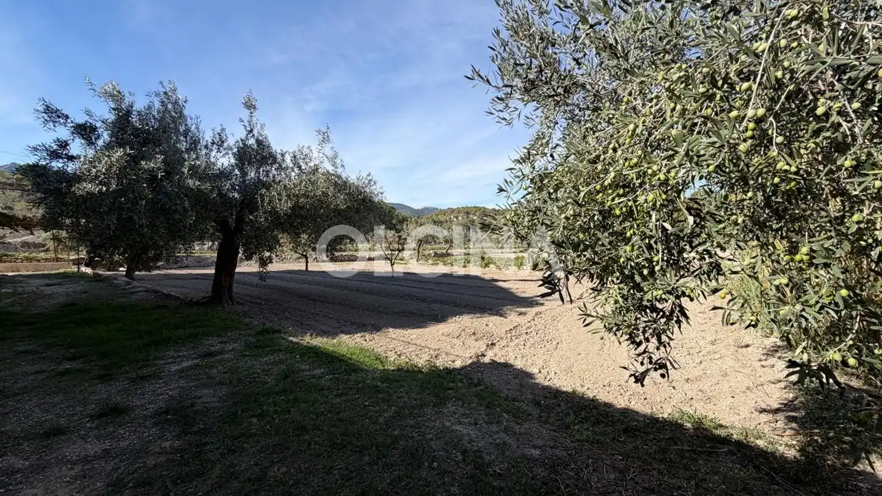Finca rústica en venda en Tibi amb Piscina