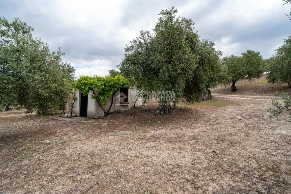Terreni e lotti in vendita a Albaicín, imagen 25