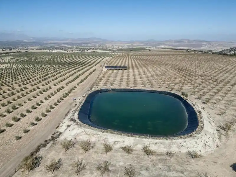 Swimming pool of Land for sale in Alamedilla
