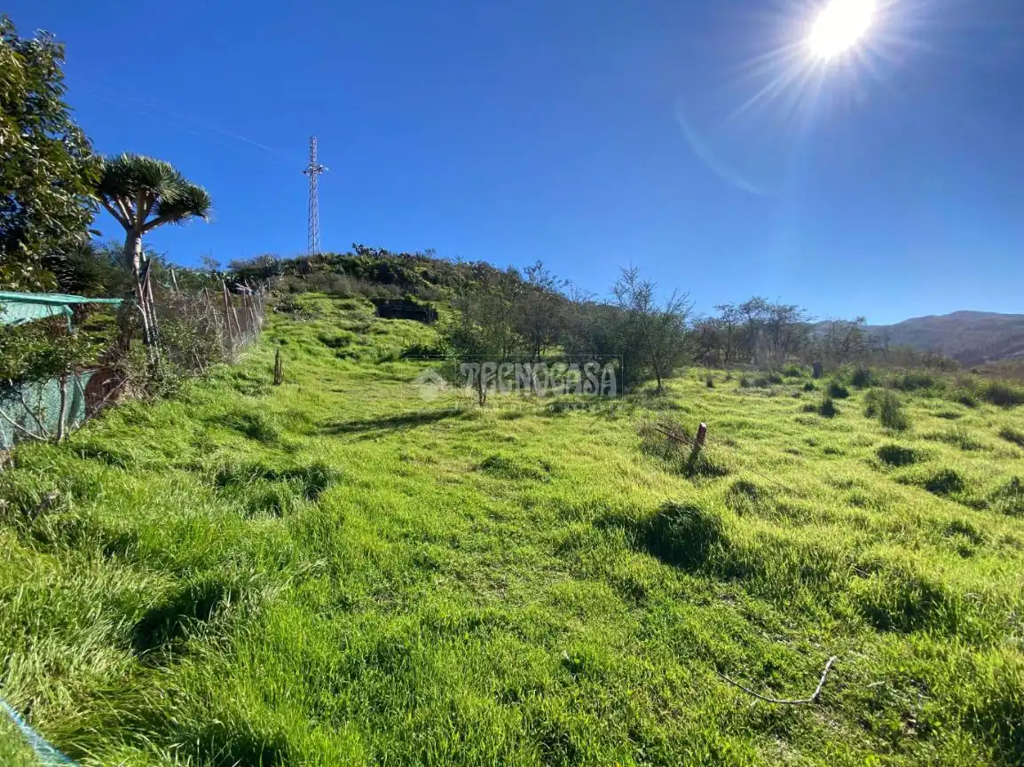 Terreny rústic en venda a Camino del Palo, imagen 12