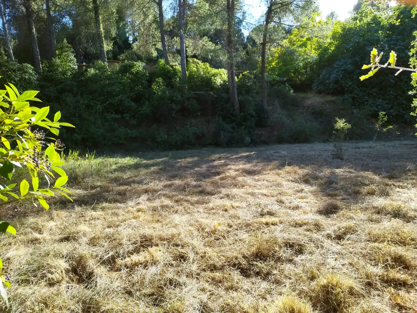 Terreny rústic de lloguer a Els Hostalets de Pierola, imagen 19