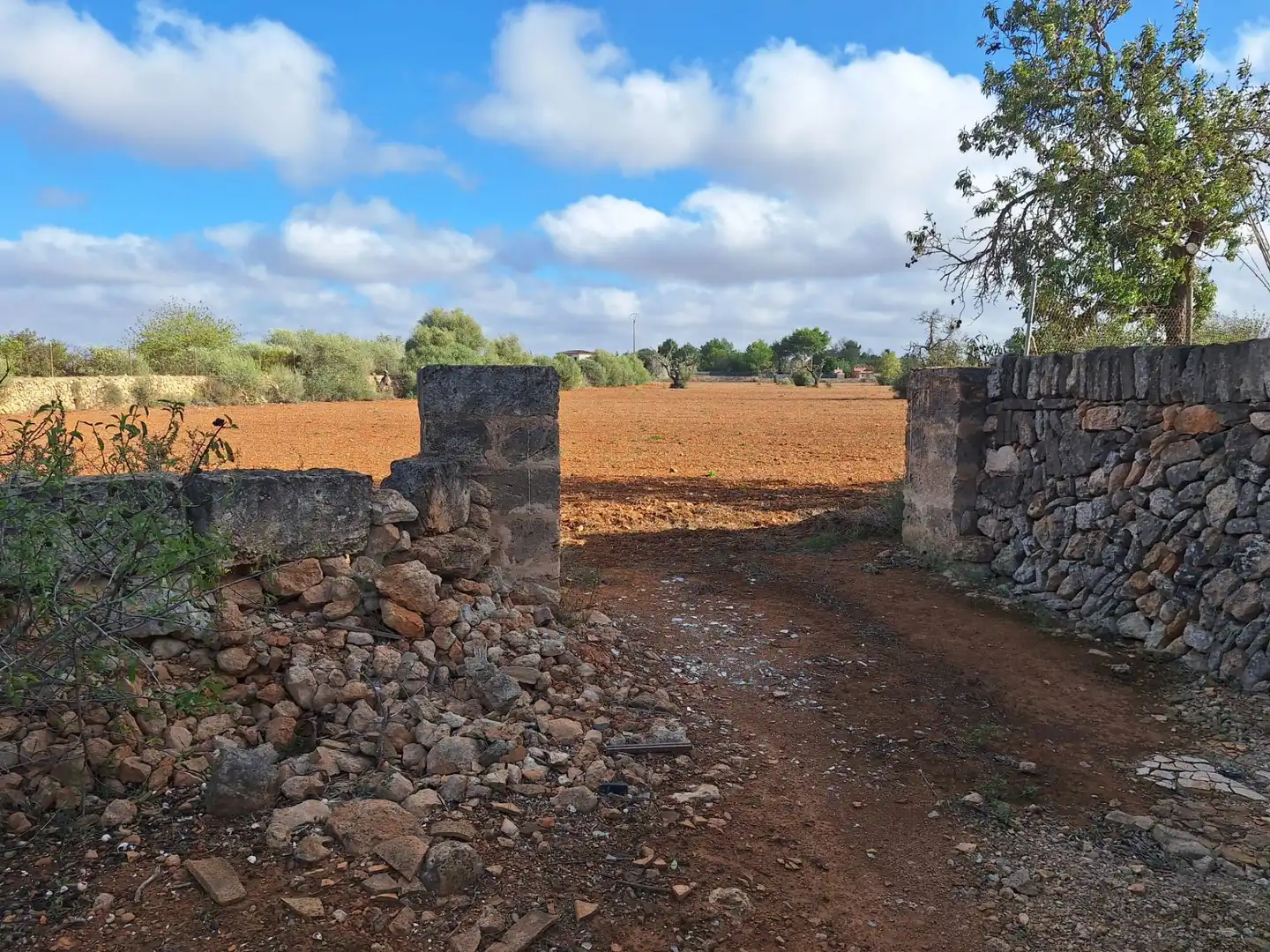 Terreno rustico in vendita a Llucmajor pueblo, imagen 12
