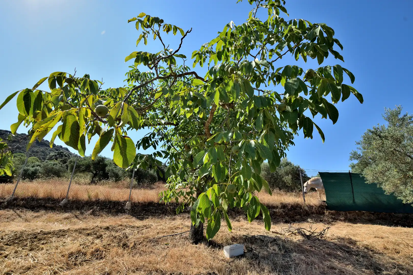 Country house zum Verkauf in Ronda mit Klimaanlage und Terrasse