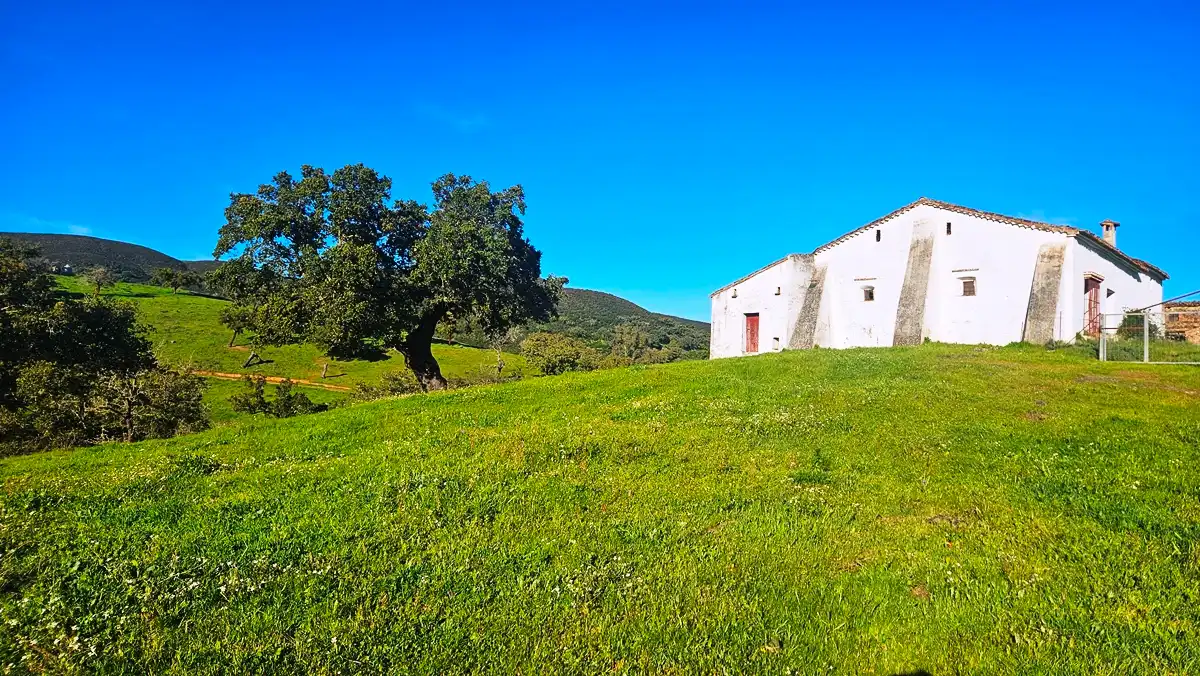 Terrenos y solares en venta en Aracena, imagen 13