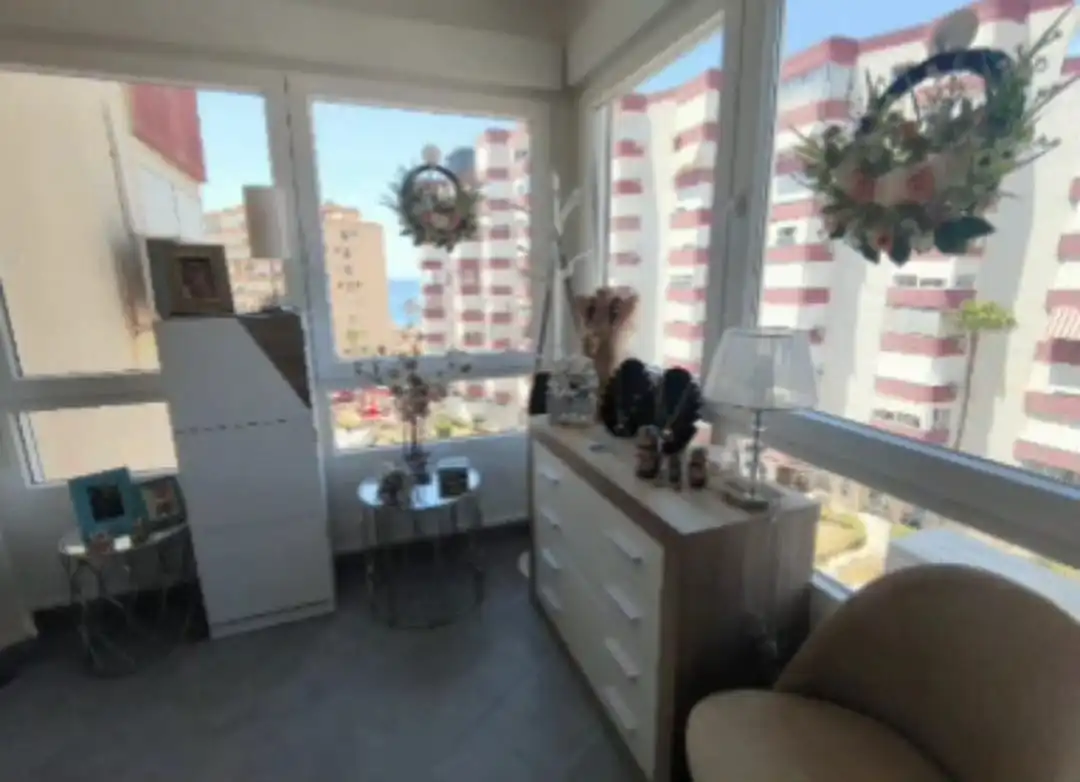 Logement avec terrasse à vendre à Avenida Europa 3, imagen 11