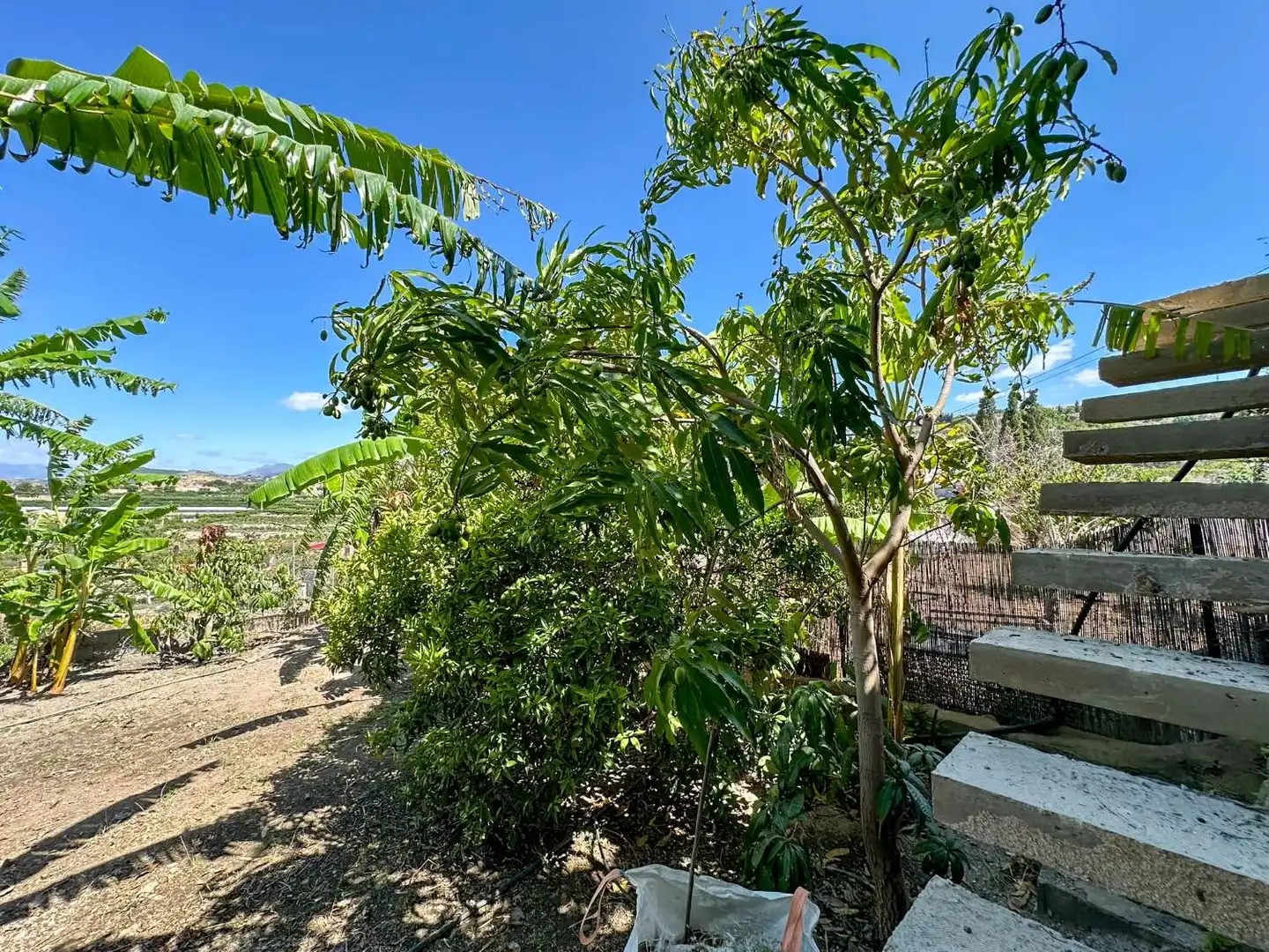 Casa o chalet en venta en Motril con Calefacción, Terraza y Trastero