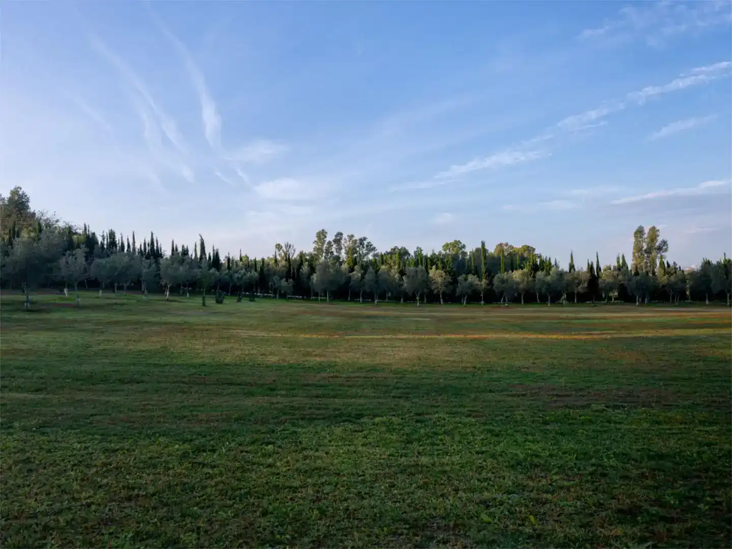 Finca rústica en venda en Jerez de la Frontera amb Jardí privat