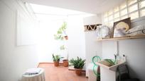 Garden of Single-family semi-detached for sale in Ronda