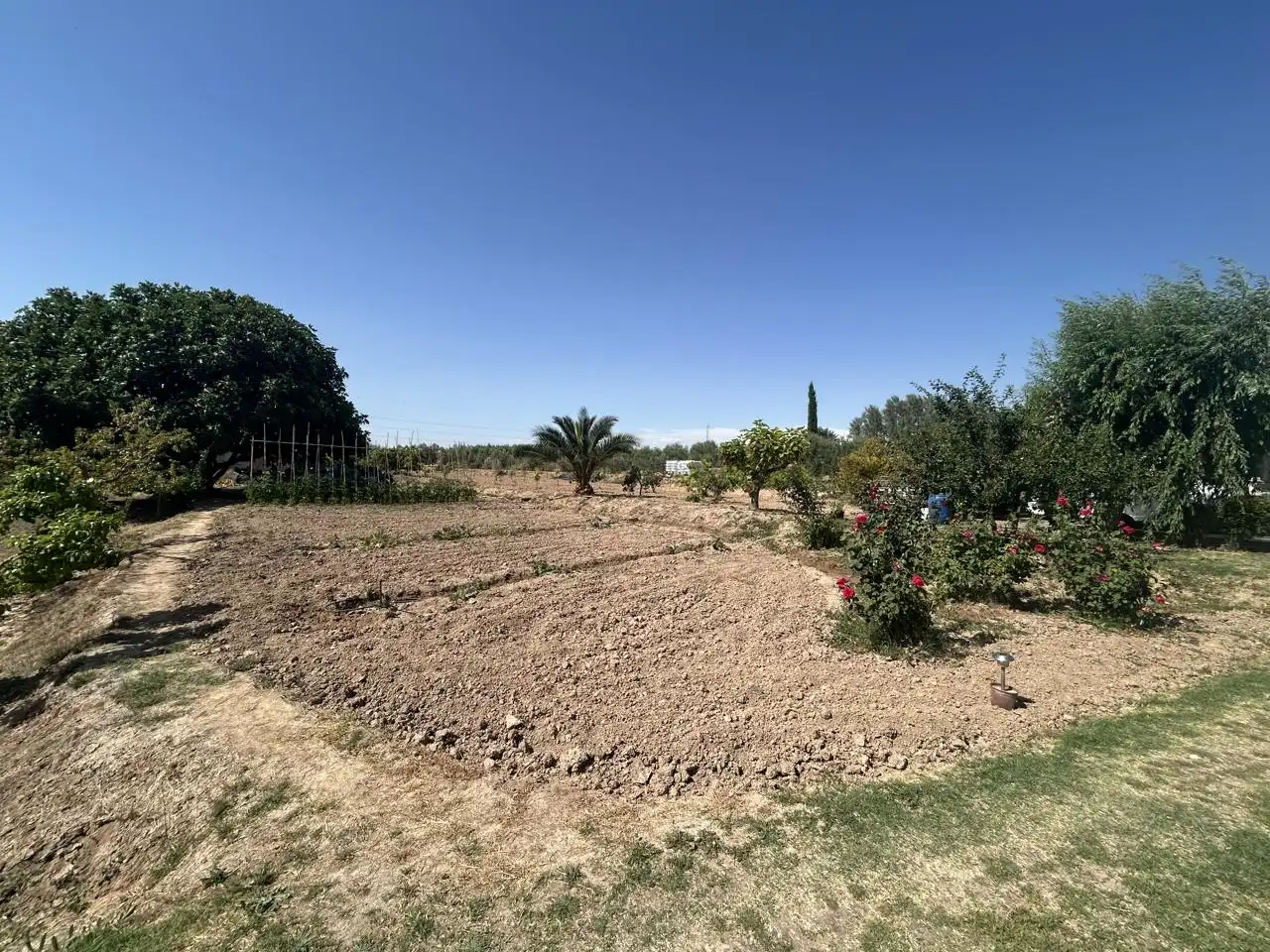 Country homes for sale in Corella  with Private garden, Terrace and Storage room