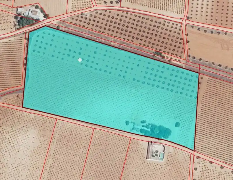 Lands and plots for sale in Valdepeñas, imagen 14