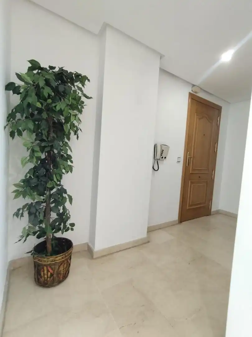 Piso de alquiler en Murcia con Aire acondicionado, Amueblado y Balcón