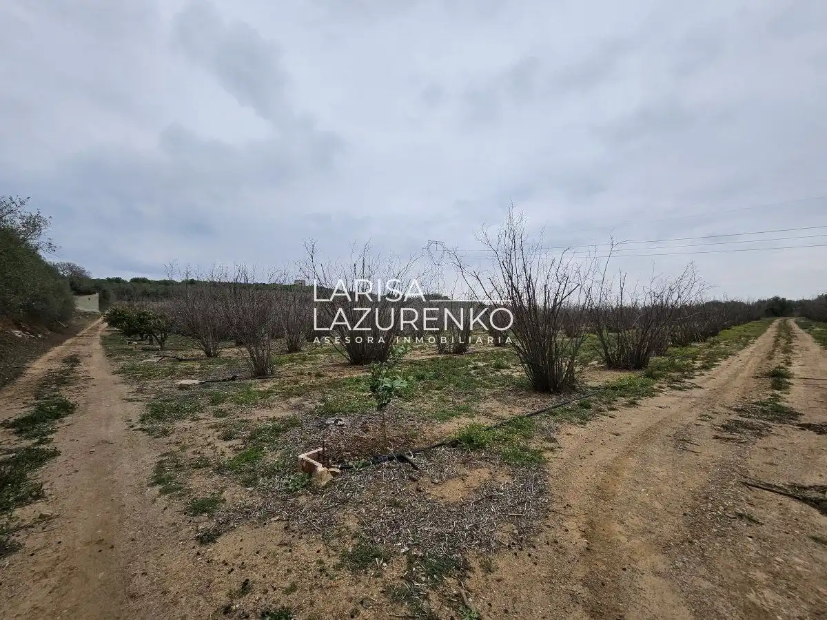 Finca rústica en venda en Riudoms