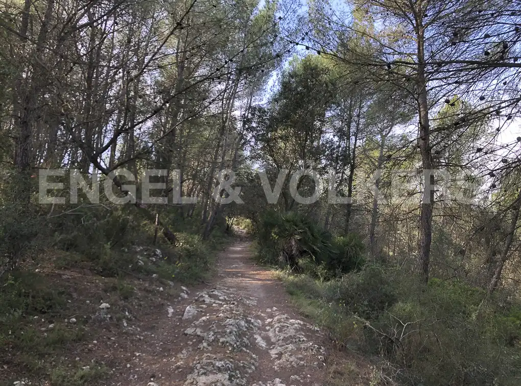 Terreny residencial en venda a Avinyonet del Penedès, imagen 11