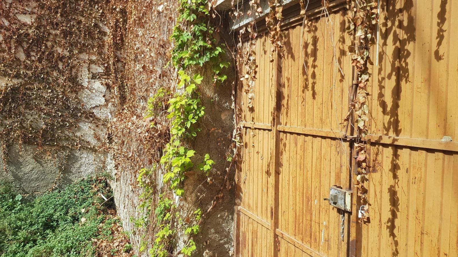 Exterior view of House or chalet for sale in Fuente Vaqueros