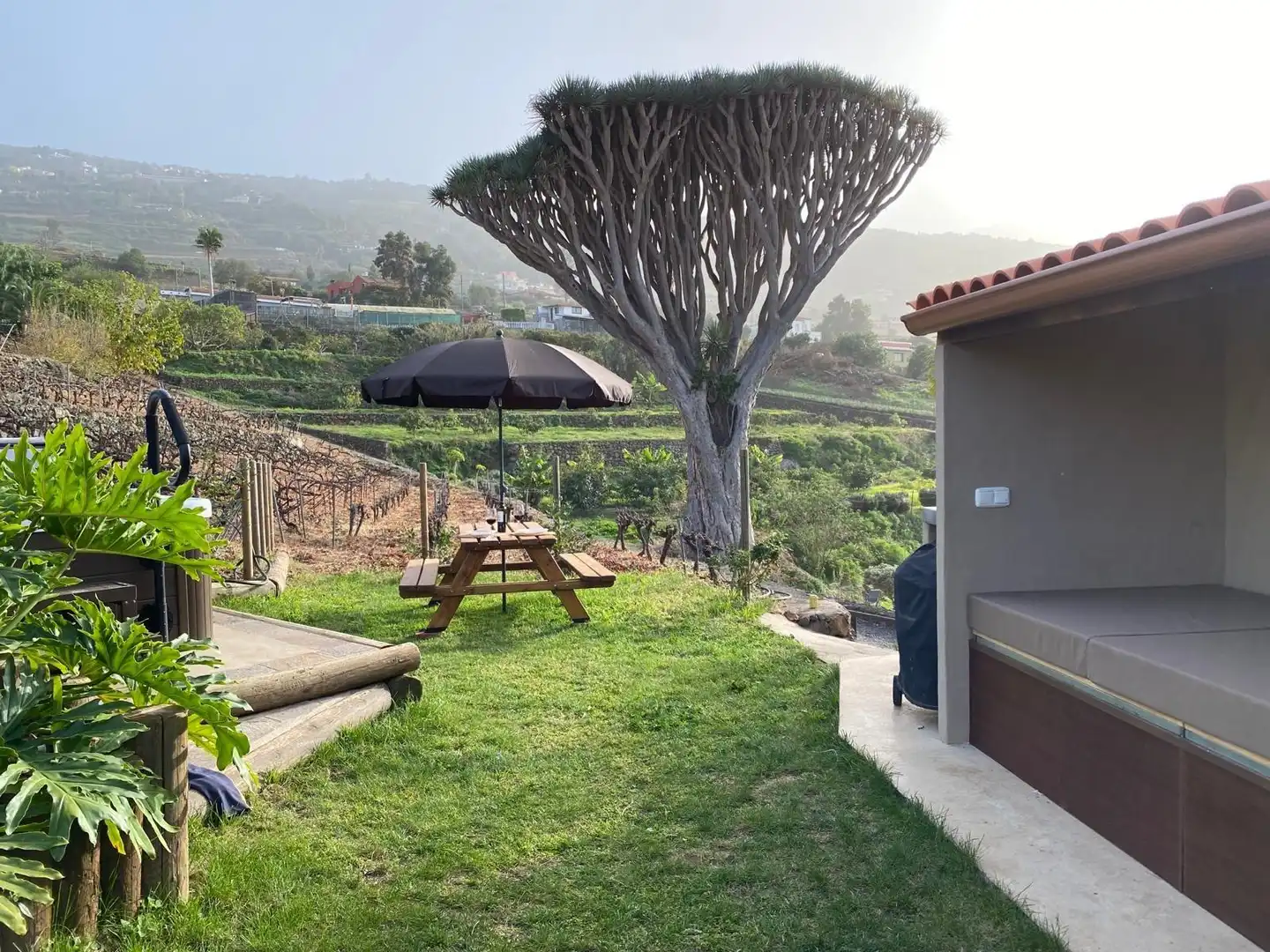 Garten von Country house zum Verkauf in Santa Úrsula mit Privatgarten, Terrasse und Schwimmbad