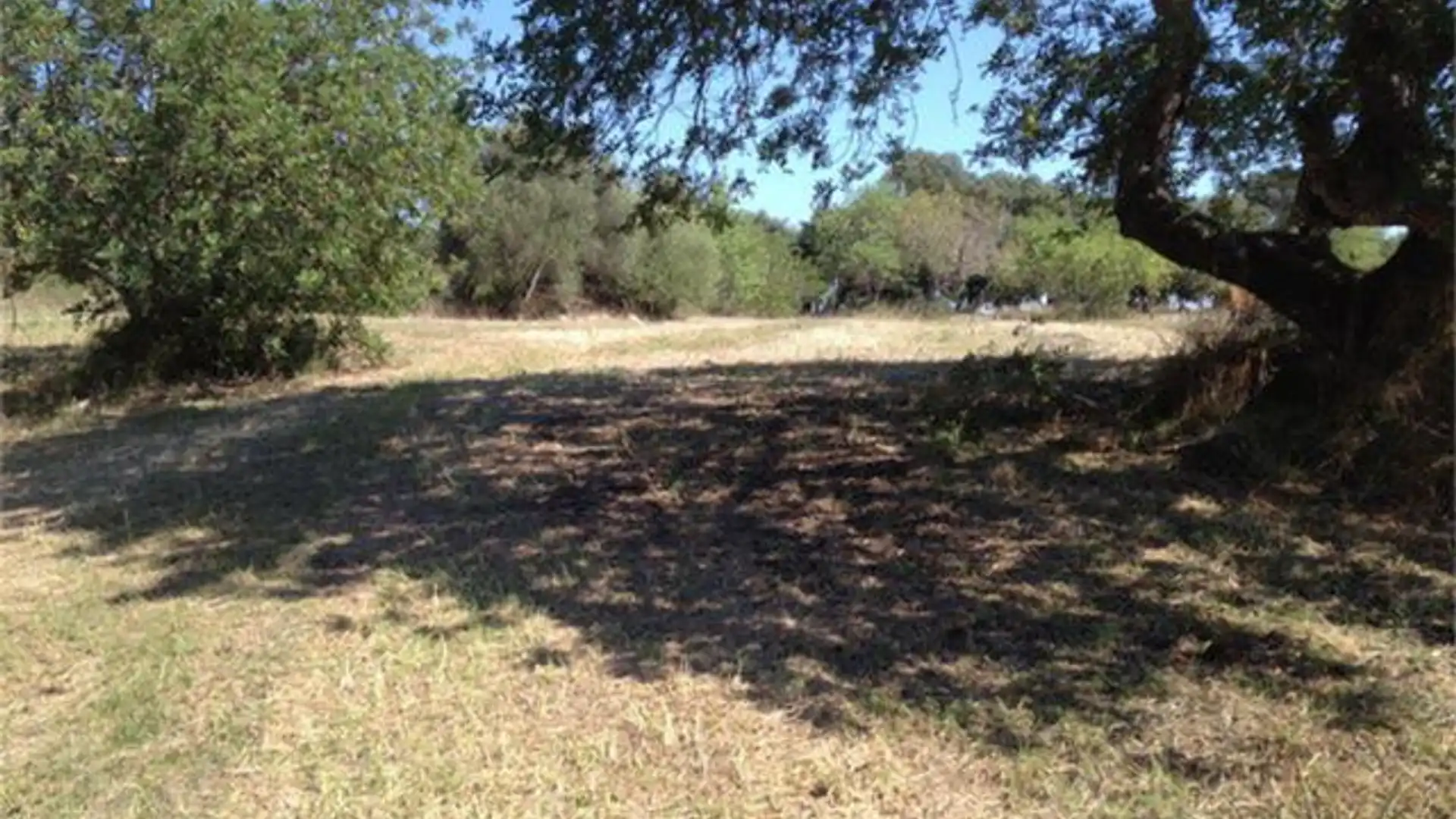 Terreno en venta en Lloseta