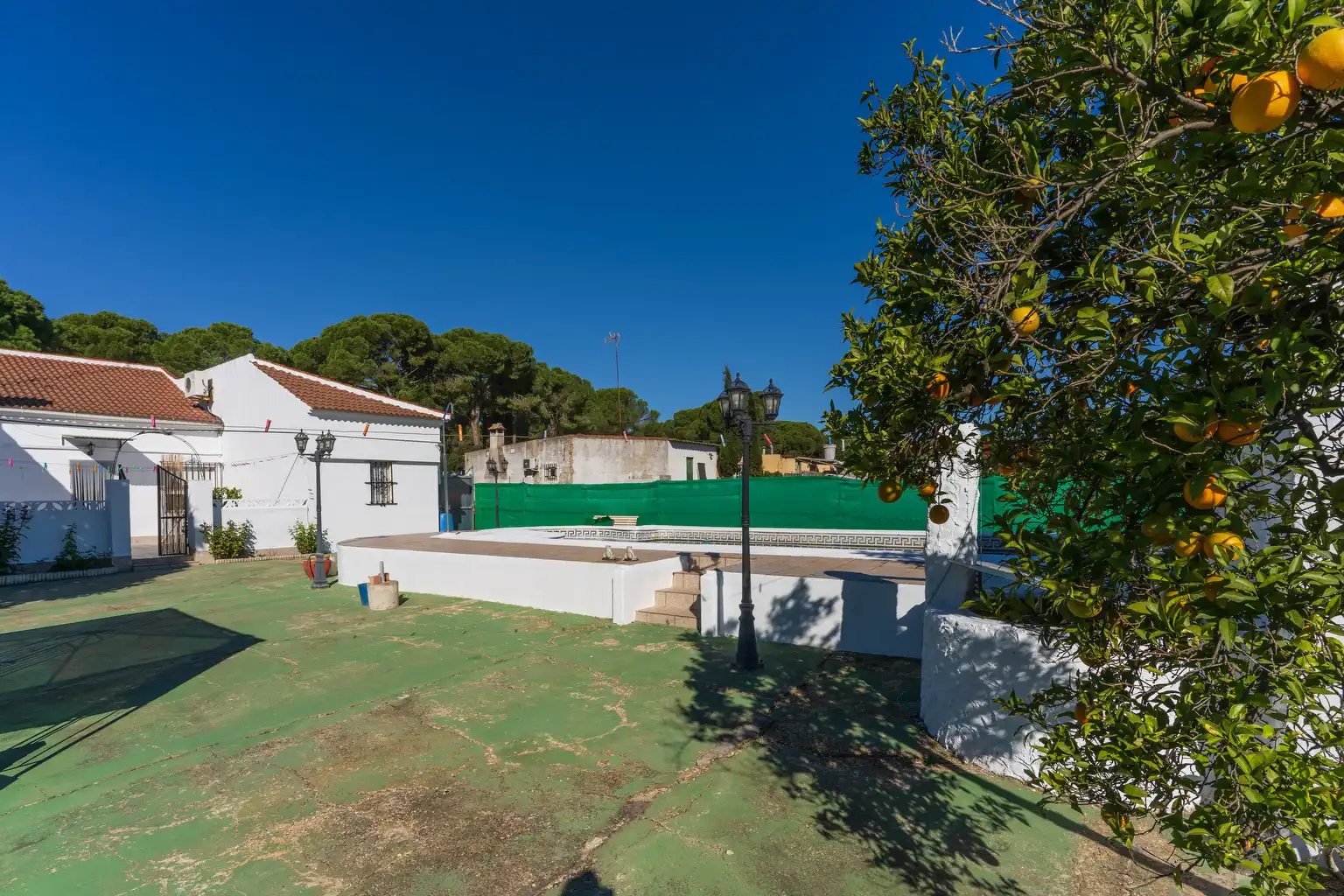 Garden of Country homes for sale in Bonares  with Private garden, Terrace and Swimming Pool