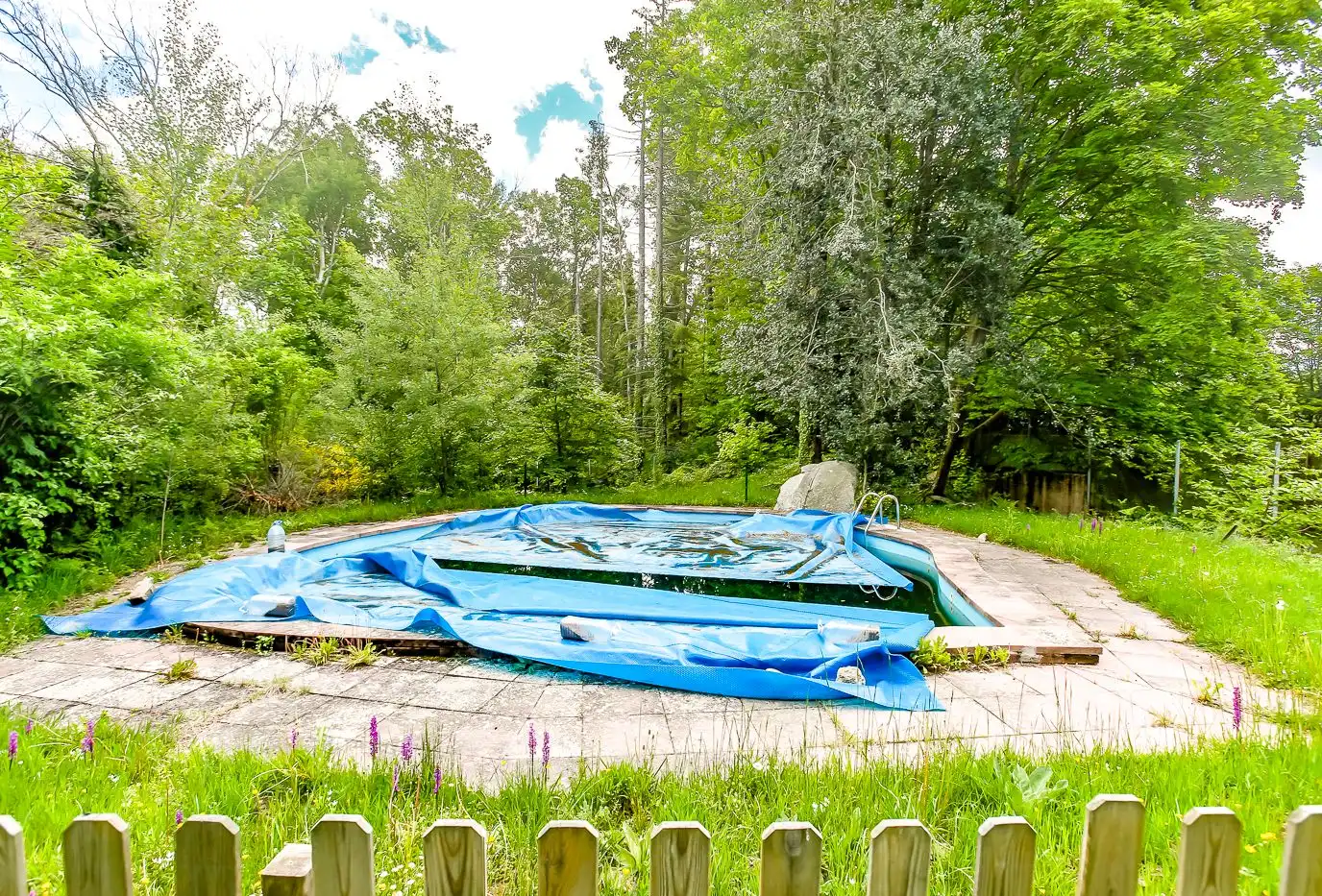 Swimming pool of Country homes for sale in Fogars de Montclús