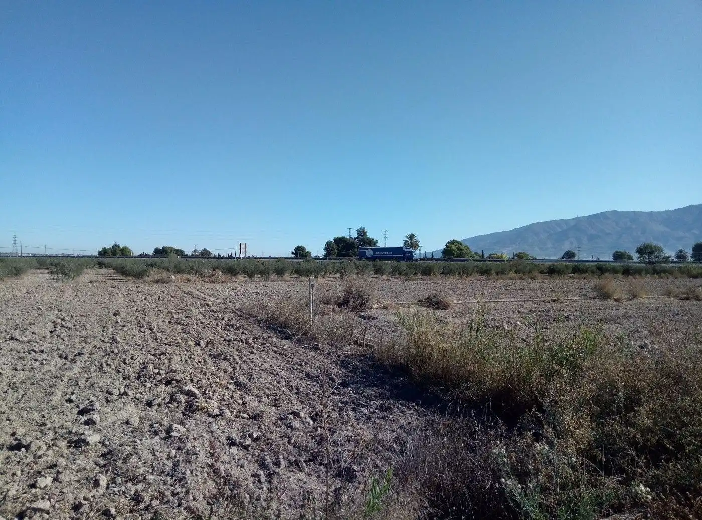 Terreny industrial en venda a Alhama de Murcia ciudad, imagen 14