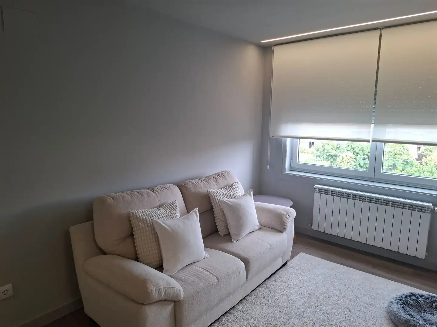 Sala de estar de Apartamento de alquiler en Ourense Capital  con Calefacción, Trastero y Amueblado