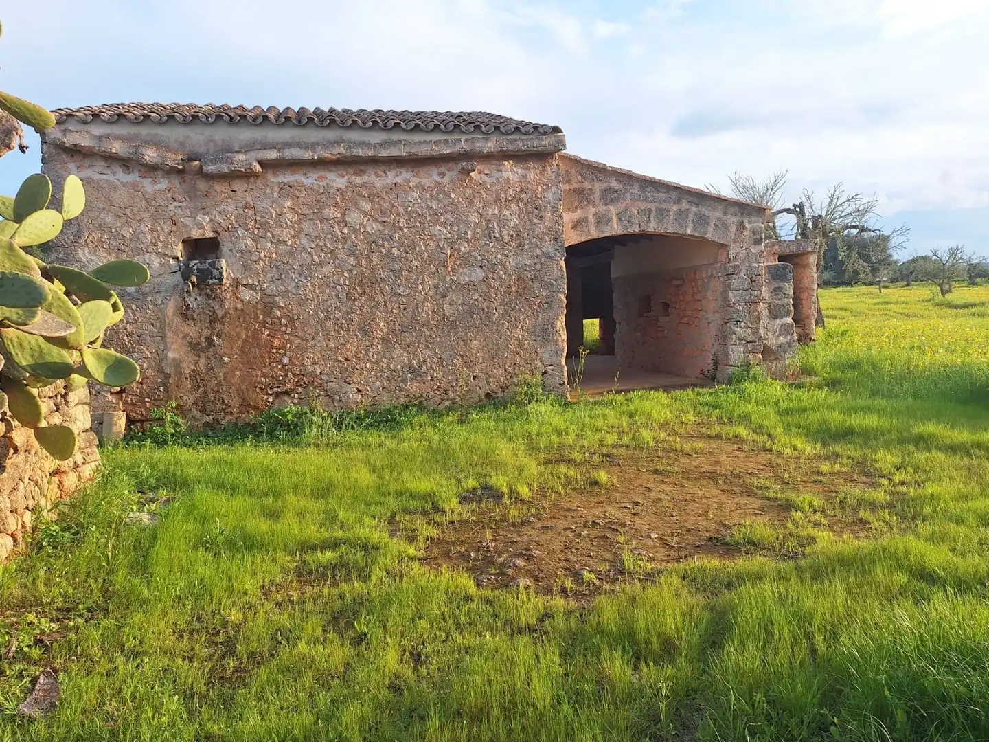 Vista exterior de Finca rústica en venta en Algaida