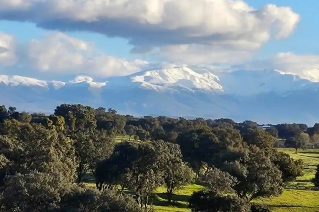 Terreno en venta en Casco Antiguo